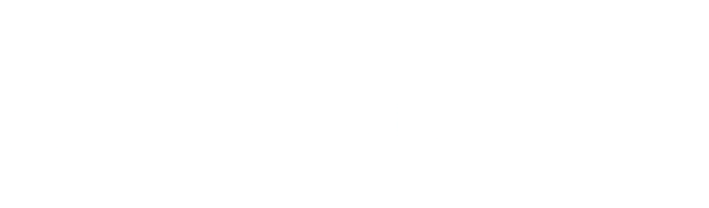 heroic-labs-logo-white