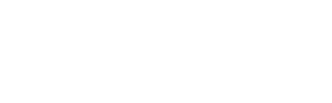 SALTO-logo-white 1