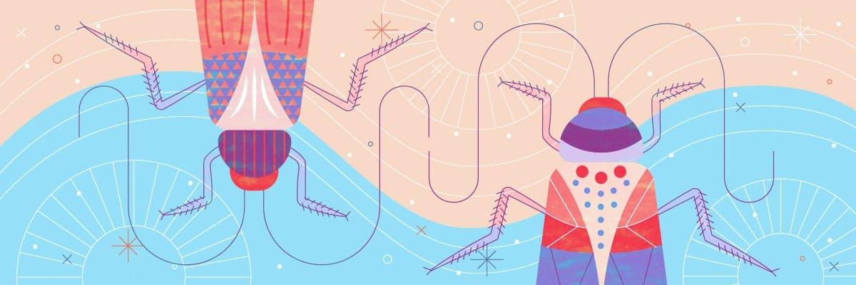 Roachmates Onboardingatcockroachlabs