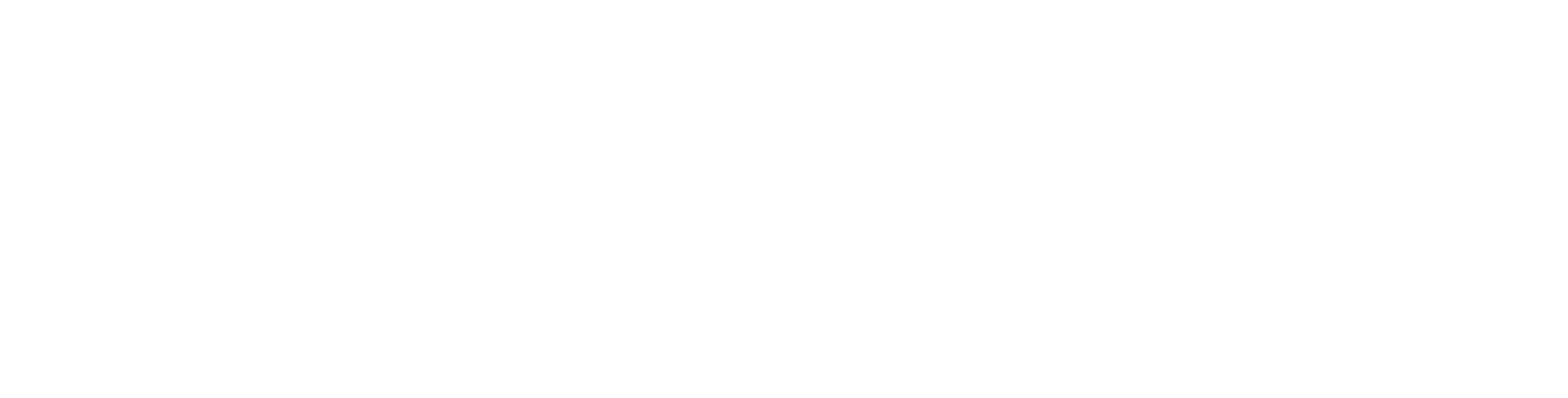 erlang-solutions-white