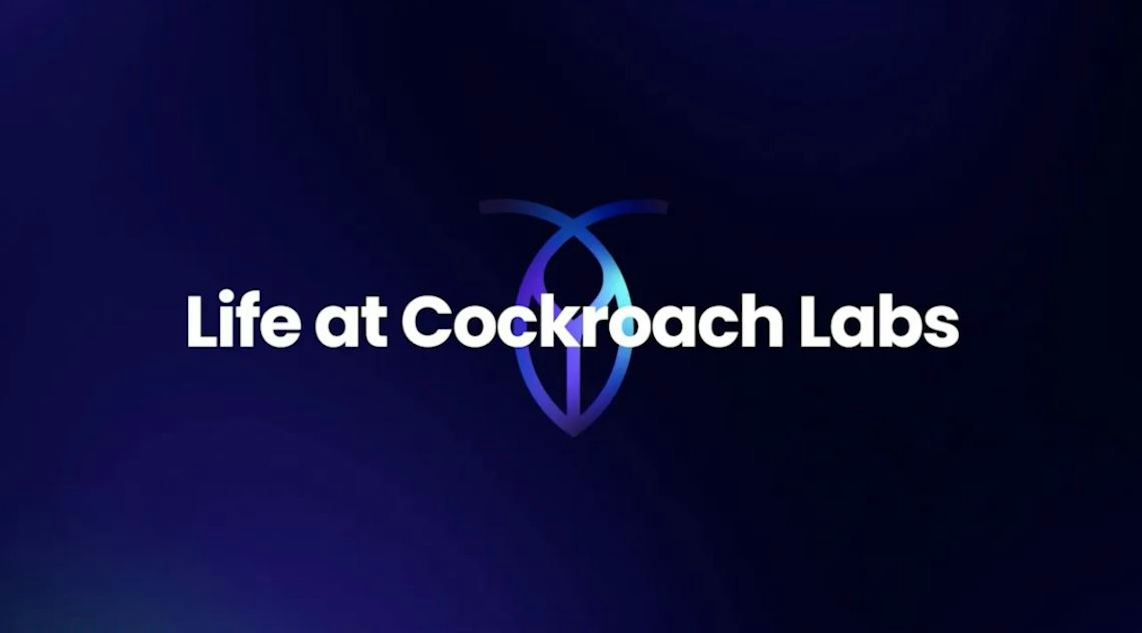 life-at-cockroach-labs-transparent-culture-of-an-open-source-startup