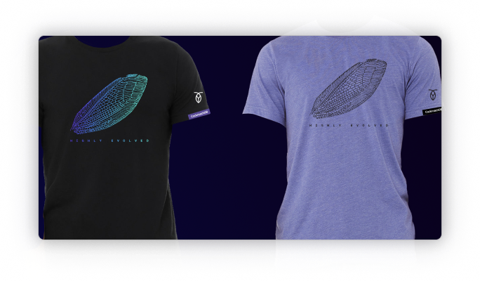 aws-crls-shirts