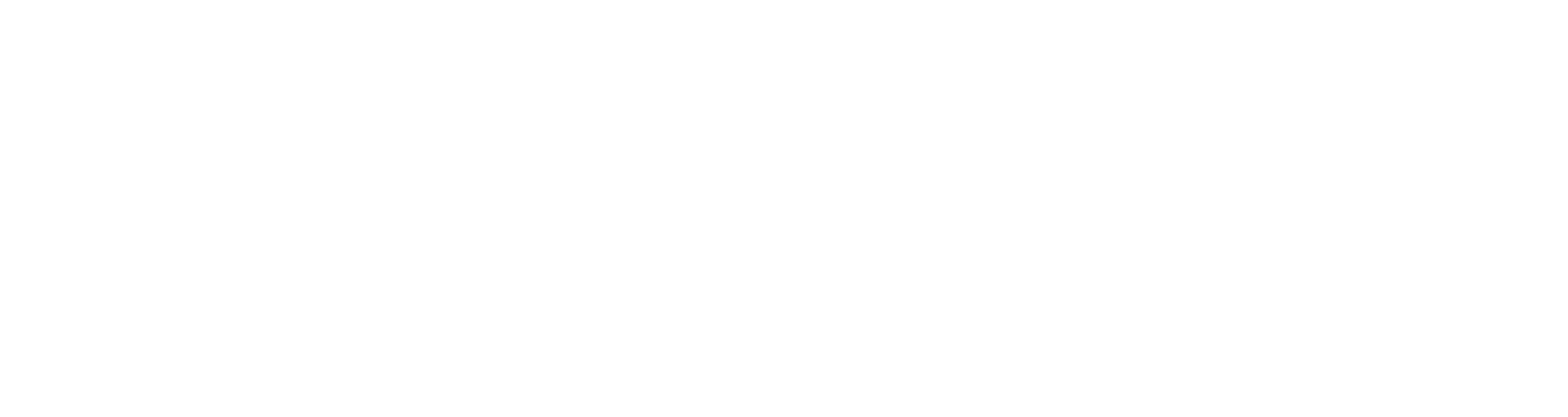 storj-logo-white (1)