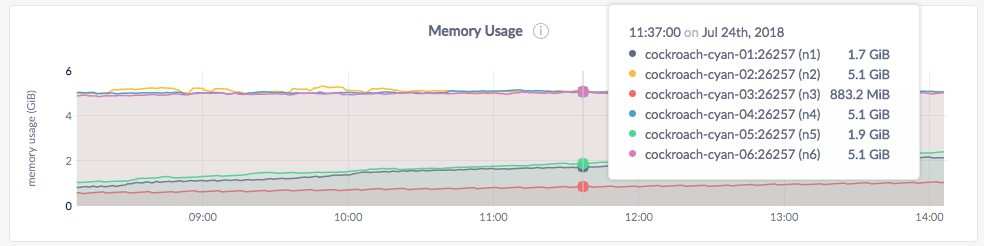 DB Console Memory Usage graph